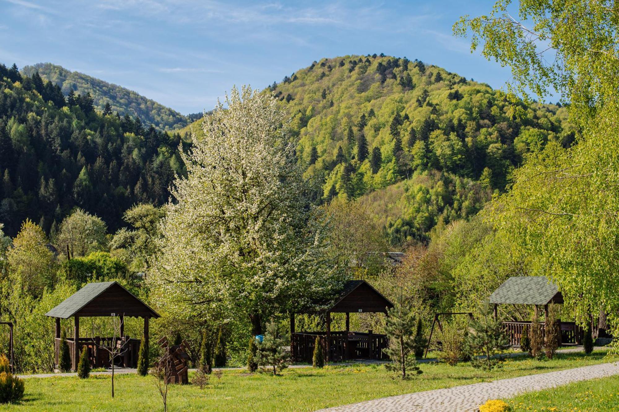 Rybnychanka Skhidnytsia Zewnętrze zdjęcie