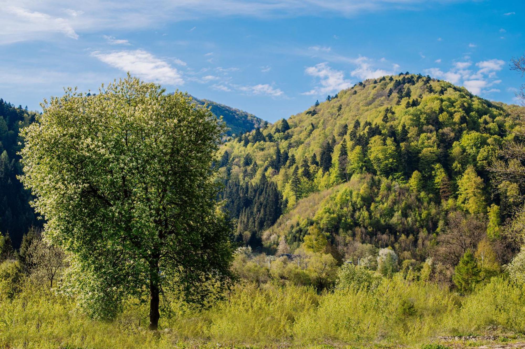 Rybnychanka Skhidnytsia Zewnętrze zdjęcie